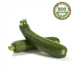 Zucchini Courgette (dark green 500gr)