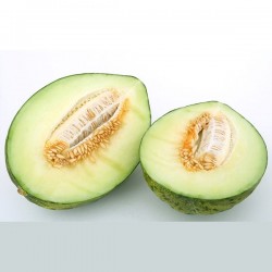 Melons sapo extra (unit)