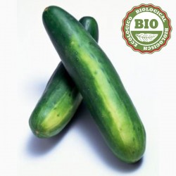 Cucumbers (500gr)