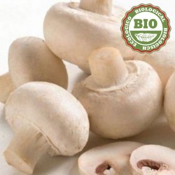 Mushroom white bud (250gr)
