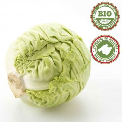 Cabbages Repollo - unit