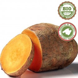 Pomme de terre BONIATO ROUGE (sucrée) (1Kg)