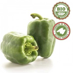 Grüner Italienisch Paprika (500gr)