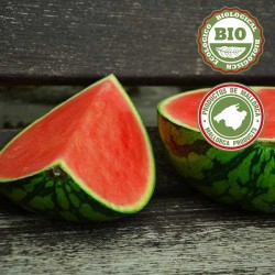 Gestreepte Watermeloen (Eenheid)