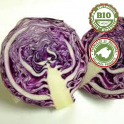 Cabbages, RED - (500gr)