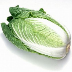 Cabbage, Chinese Unit (1,2-1,3kg aprox.)