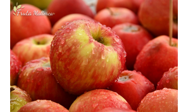 Ze zijn zo gezond en lekker! Biologische appels geteeld in Mallorca
